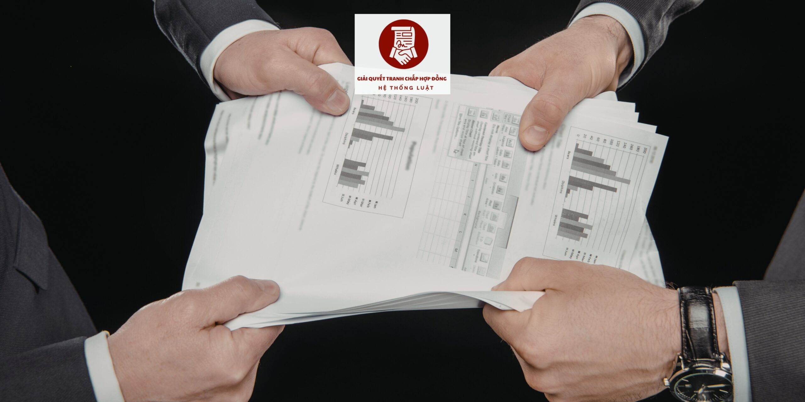 Hỗ trợ trọn gói xử lý tranh chấp Hợp đồng dịch vụ khu vực Phường Trường Thi, Vinh, Nghệ An - Ảnh 2